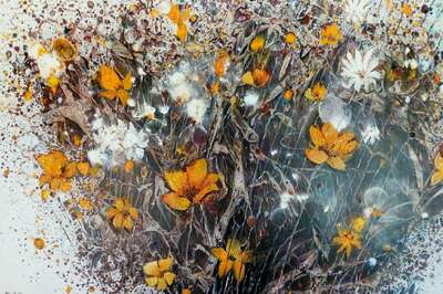 Ölbilder "Letzte Blühte" Öl auf Leinwand, 100x120cm