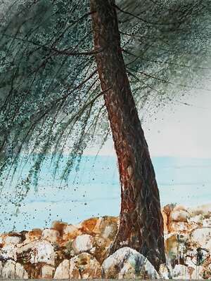 Ölbilder "Pinie in Kroatien 2023" Acryl auf Leinwand, 100x100 cm