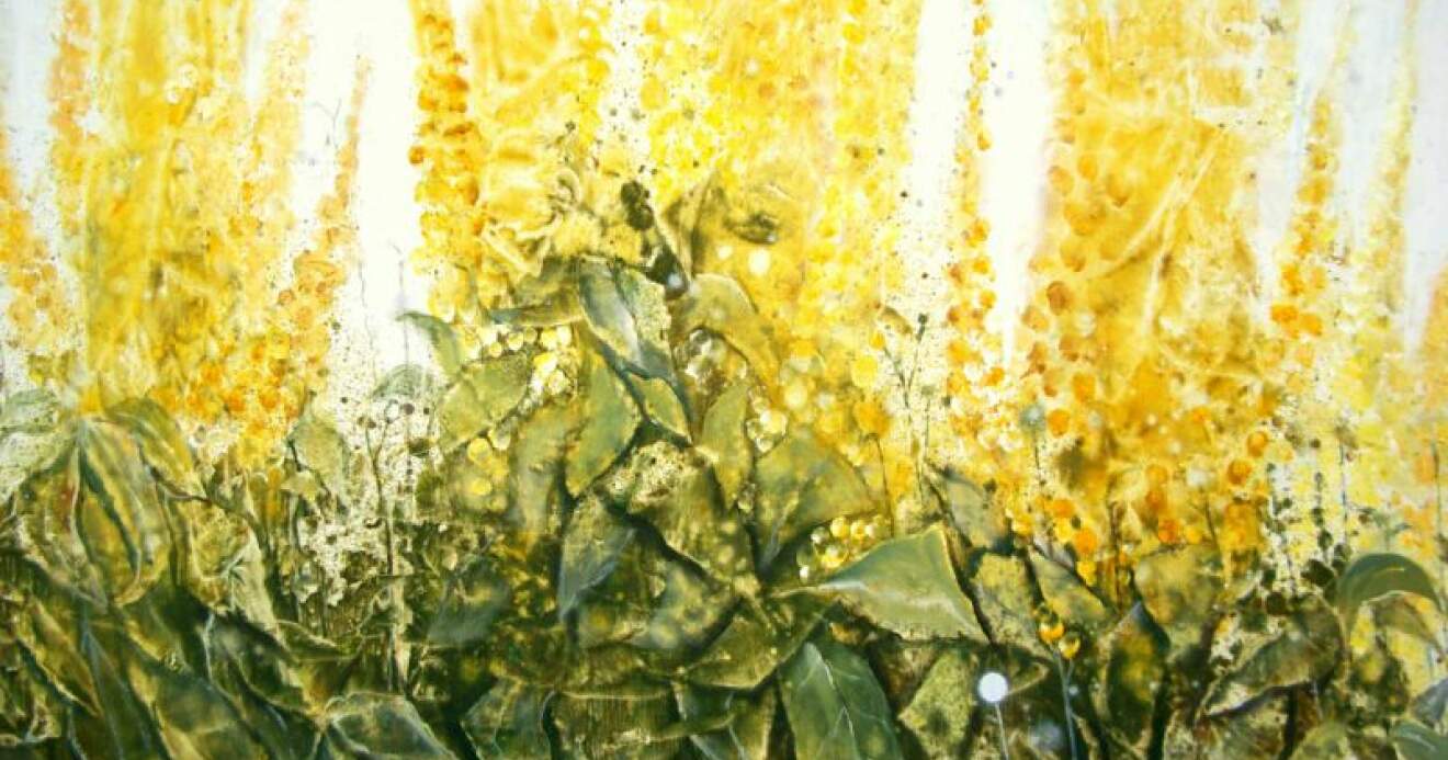 Titelbild: Ausstellungsbeteiligungen 2013